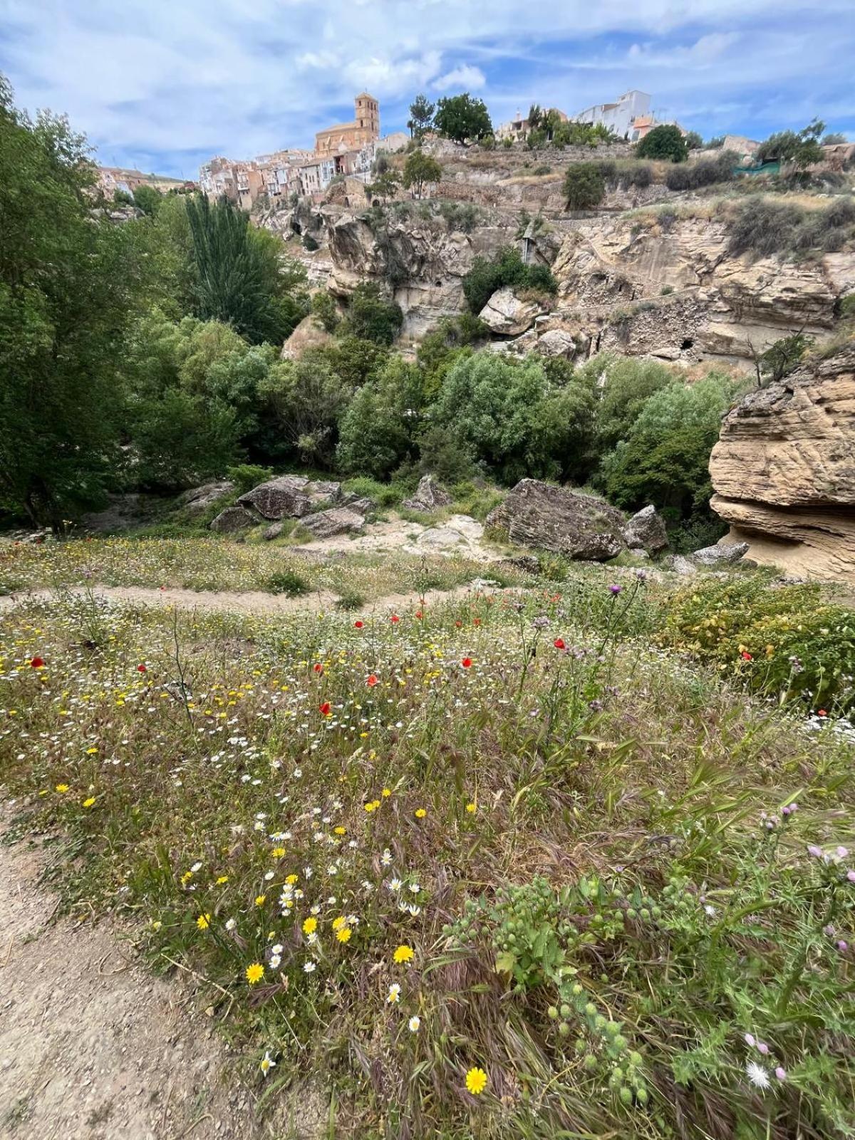 Alojamiento La Escalera Alhama de Granada Dış mekan fotoğraf