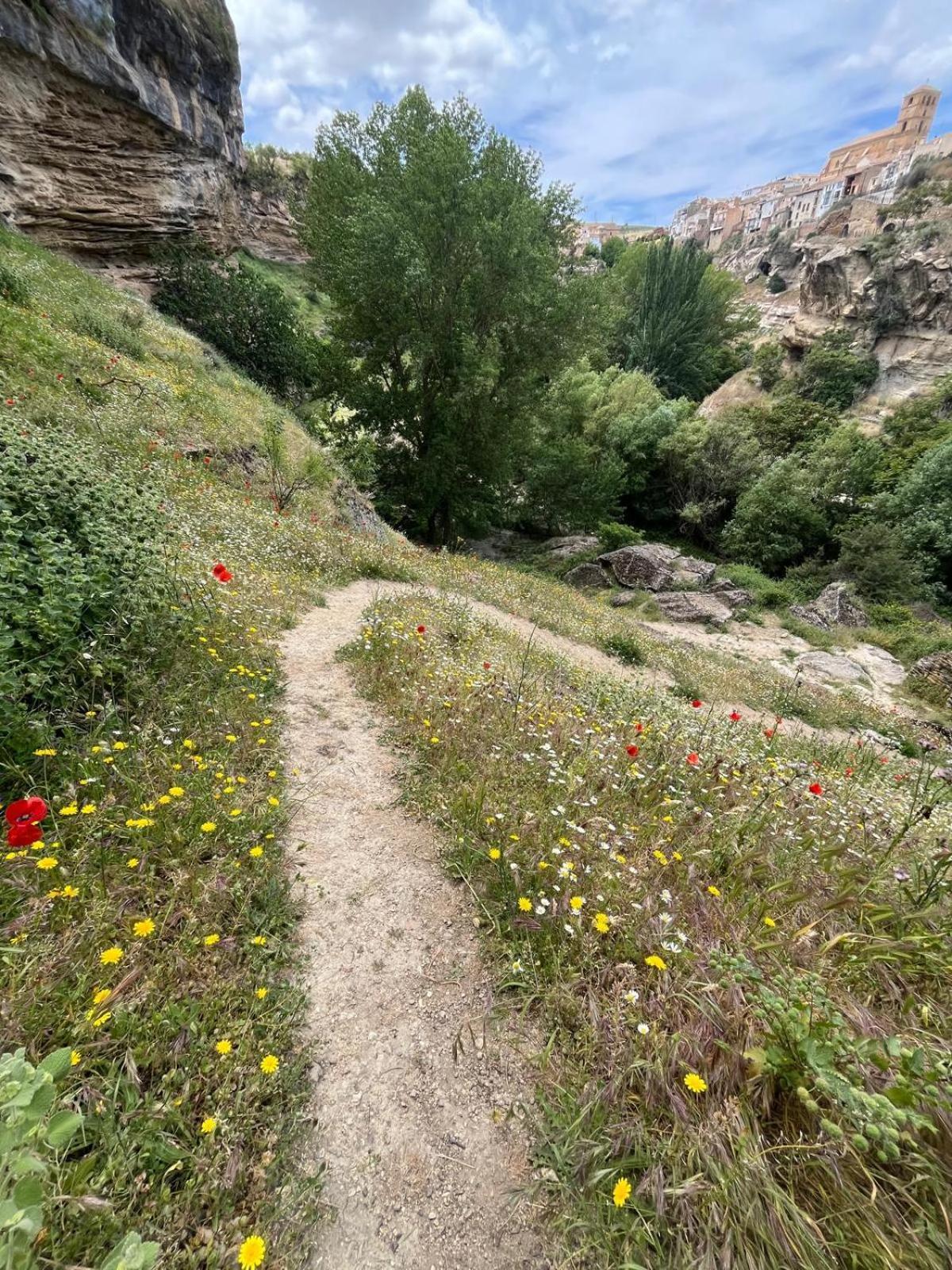Alojamiento La Escalera Alhama de Granada Dış mekan fotoğraf